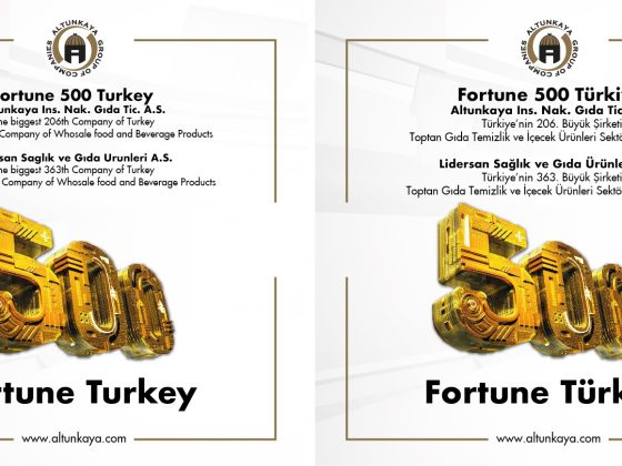 FORTUNE 500 – 2019