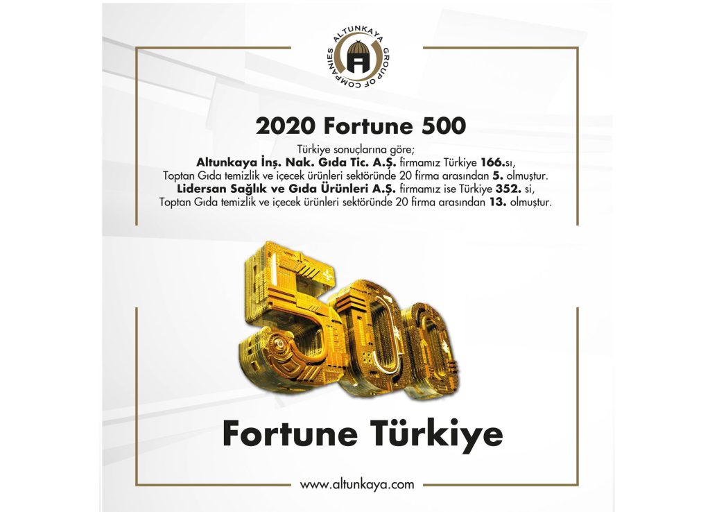 FORTUNE 500 – 2020