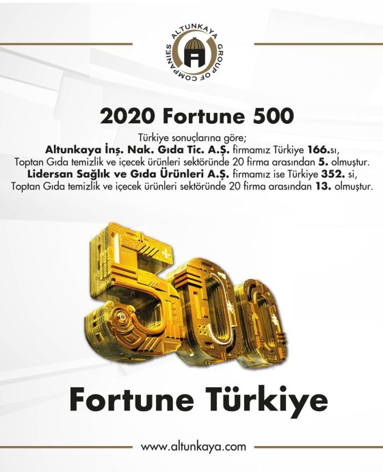FORTUNE 500 – 2020
