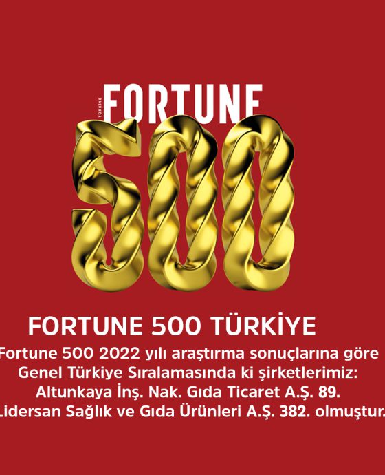 FORTUNE 500 – TÜRKİYE