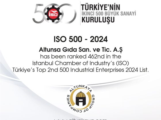 ISO 500 – 2024