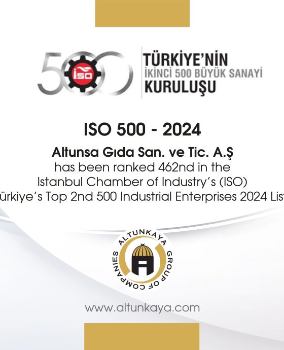 ISO 500 – 2024