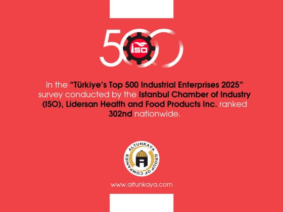 ISO 500 – 2025