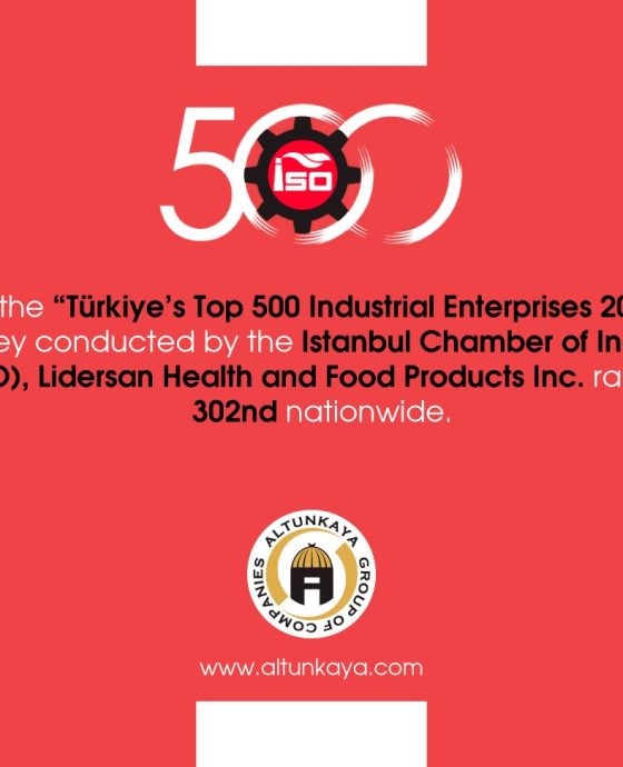 ISO 500 – 2025