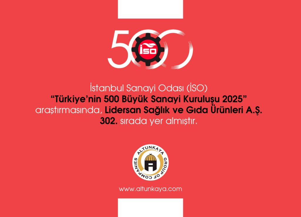 ISO 500 – 2025