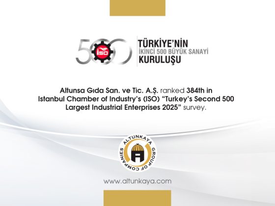 ISO 500-2025