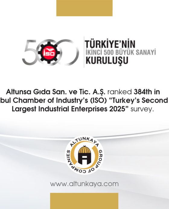 ISO 500-2025