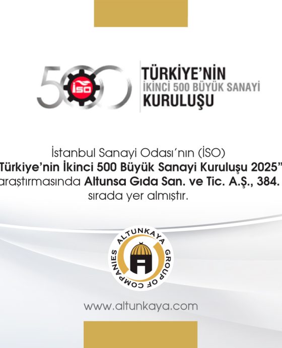 İSO 500-2025